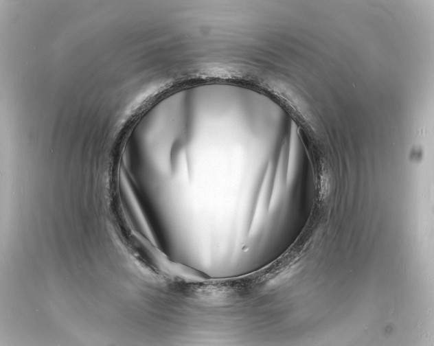 X0000093600444200710291148