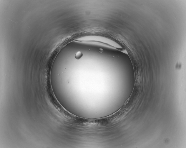 X0000093600448200710291148