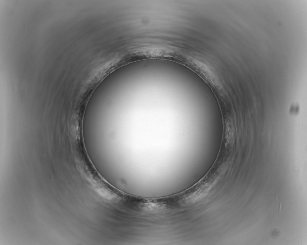 X0000093600453200710291148