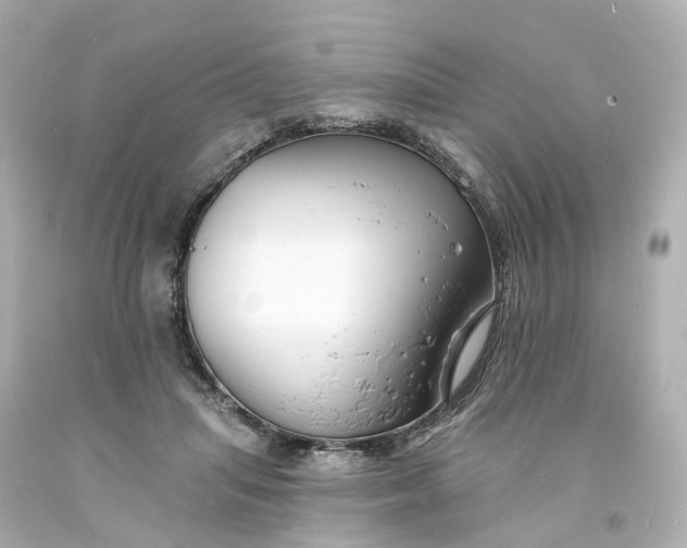 X0000093600455200710291148