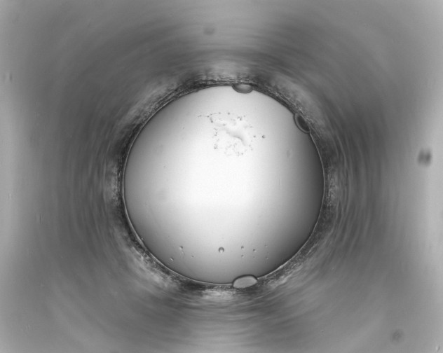 X0000093600457200710291148