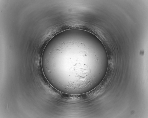 X0000093600458200710291148