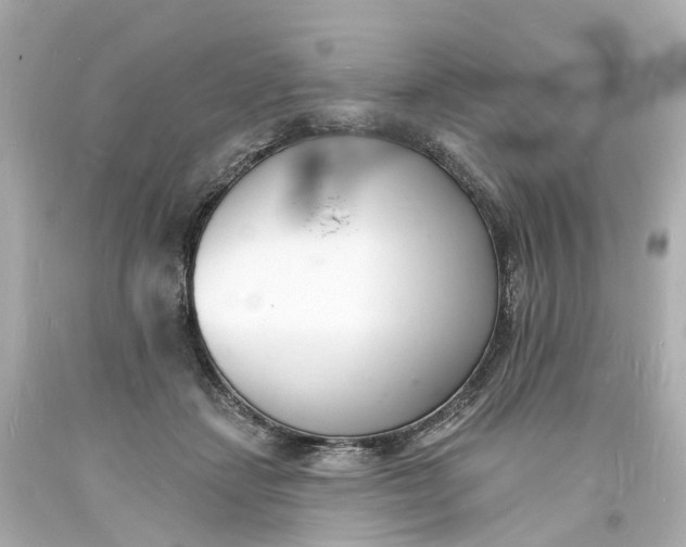 X0000093600459200710291148