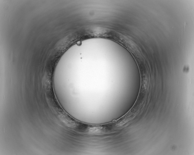 X0000093600461200710291148