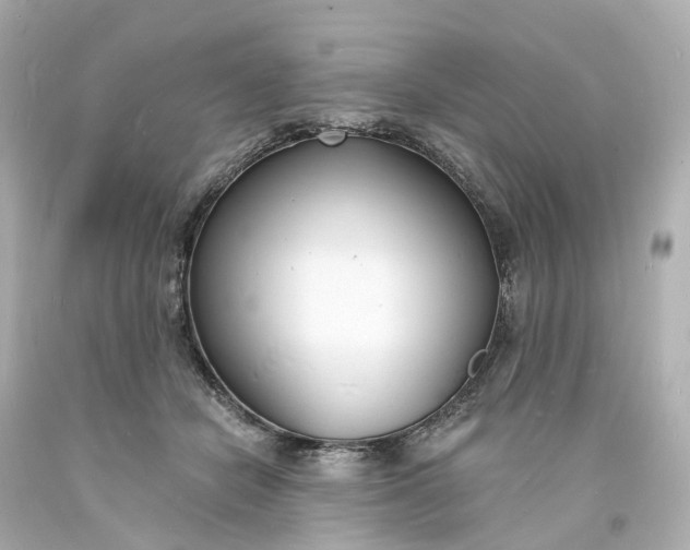 X0000093600462200710291148