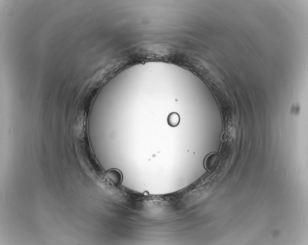 X0000093600468200710291148