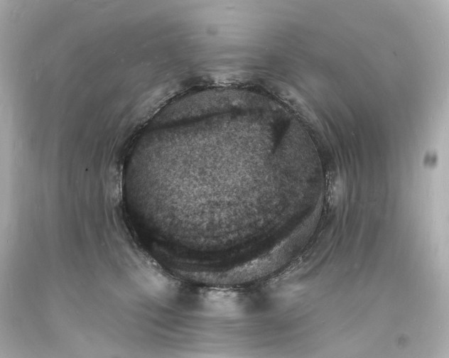 X0000093600471200710291148