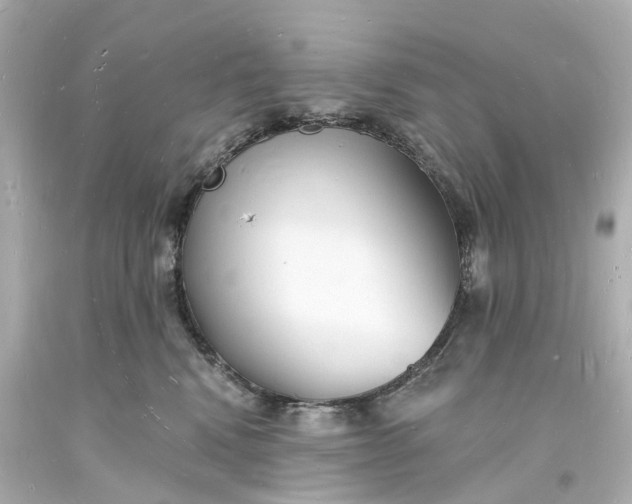 X0000093600472200710291148