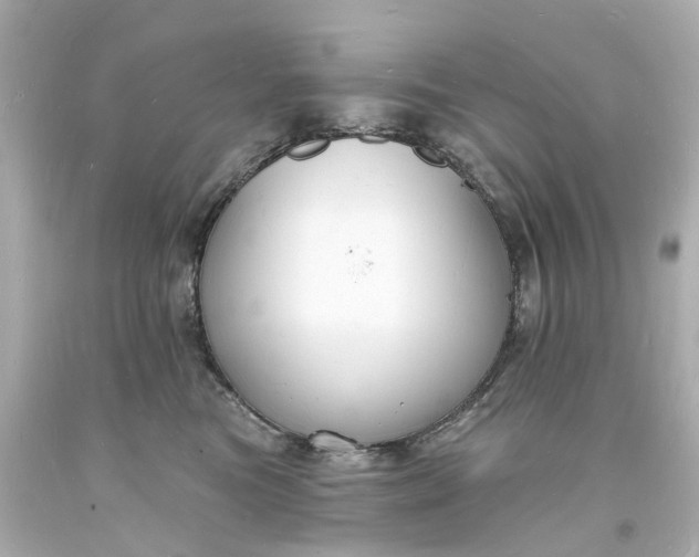 X0000093600473200710291148