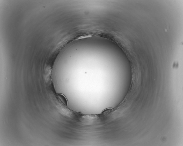 X0000093600480200710291148