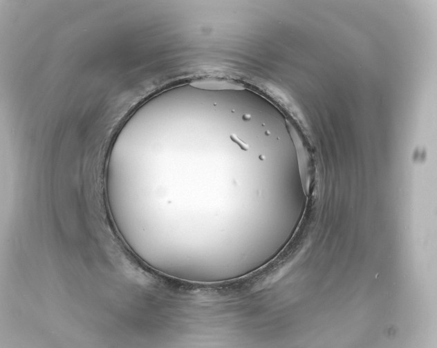 X0000093600481200710291147