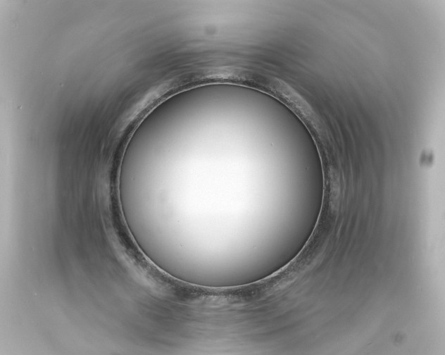 X0000093600482200710291147