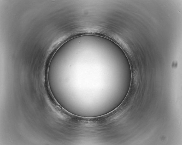 X0000093600486200710291147