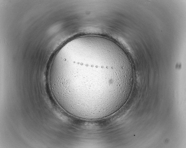 X0000093600487200710291147