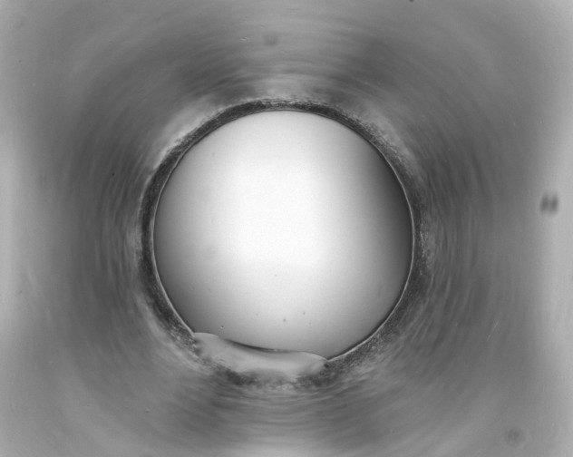 X0000093600488200710291147