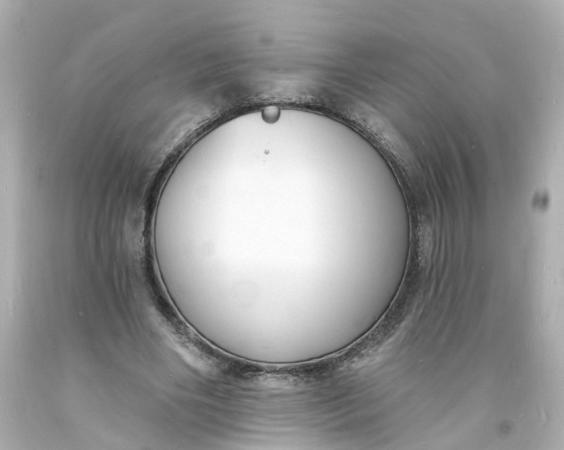 X0000093600490200710291147