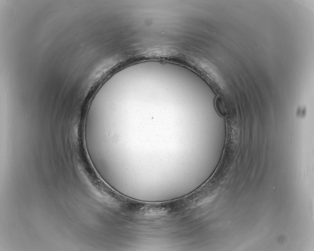 X0000093600491200710291147