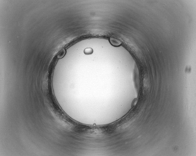 X0000093600492200710291147