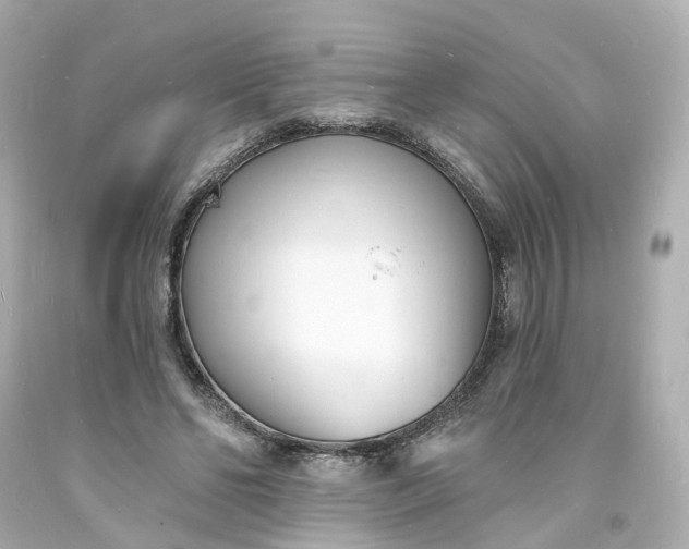 X0000093600494200710291147