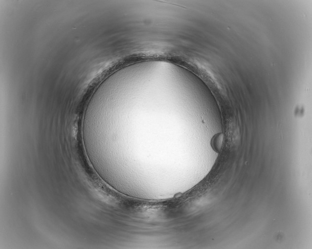 X0000093600495200710291147