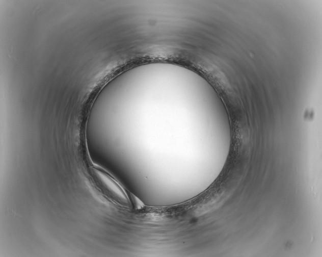 X0000093600496200710291147