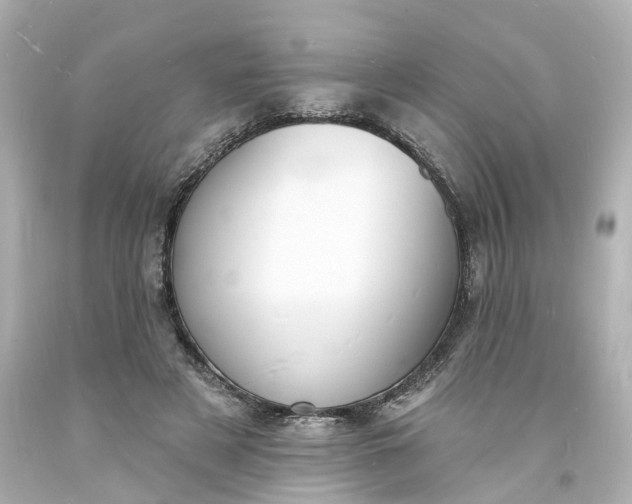 X0000093600497200710291147