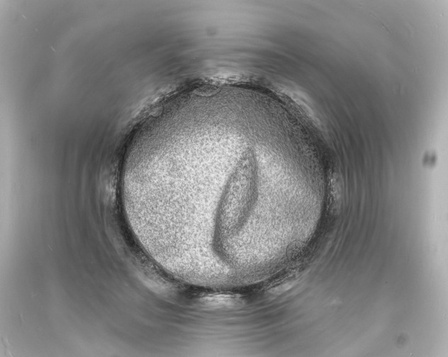 X0000093600499200710291147