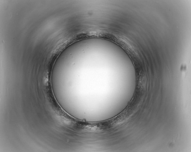 X0000093600502200710291147