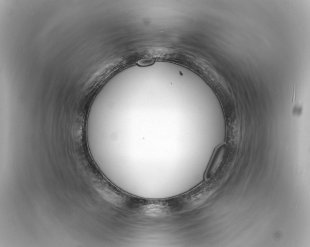 X0000093600505200710291147