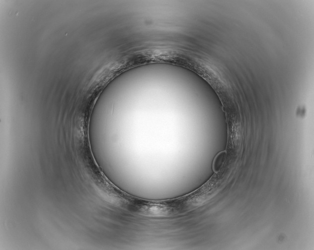 X0000093600506200710291147