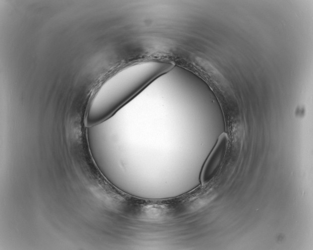 X0000093600508200710291147