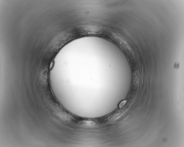 X0000093600509200710291147