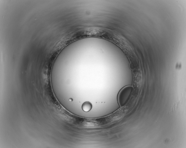 X0000093600510200710291147