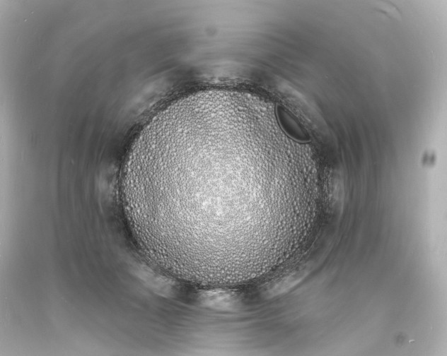 X0000093600511200710291147