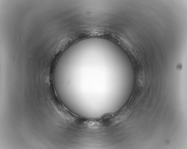 X0000093600512200710291147