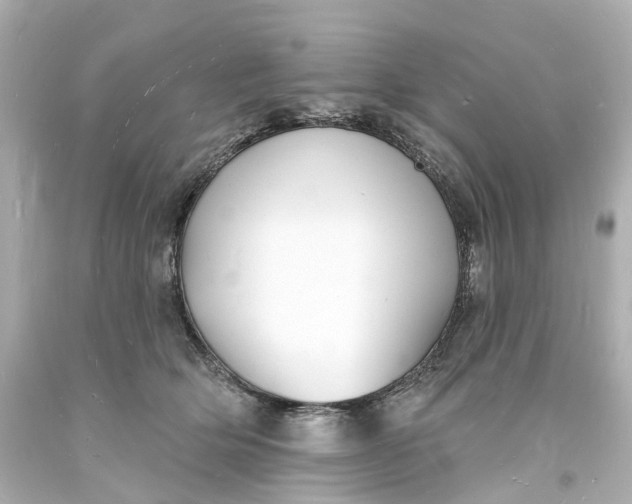 X0000093600514200710291147