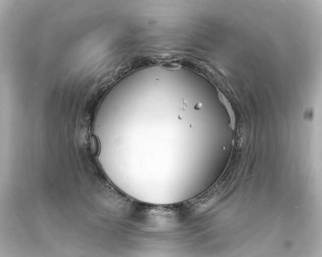 X0000093600515200710291147