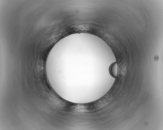 X0000093600518200710291147