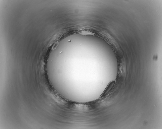 X0000093600520200710291147