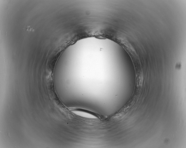 X0000093600521200710291147