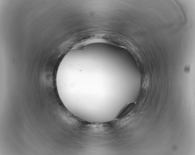 X0000093600524200710291147