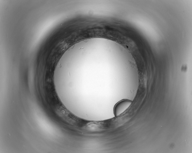 X0000093600526200710291147