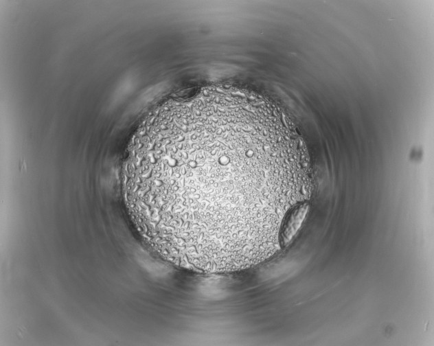 X0000093600527200710291147