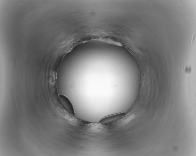 X0000093600528200710291147