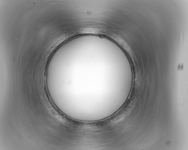 X0000093600529200710291146