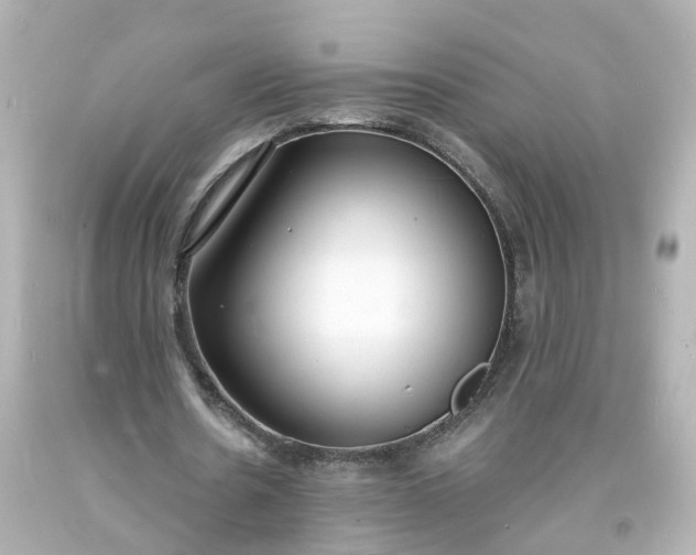 X0000093600530200710291146