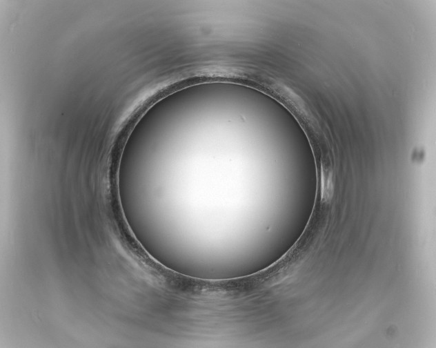 X0000093600531200710291146