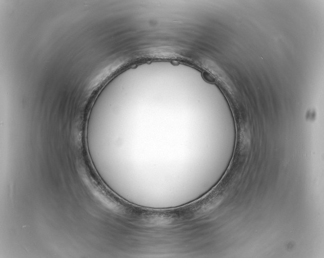 X0000093600533200710291146