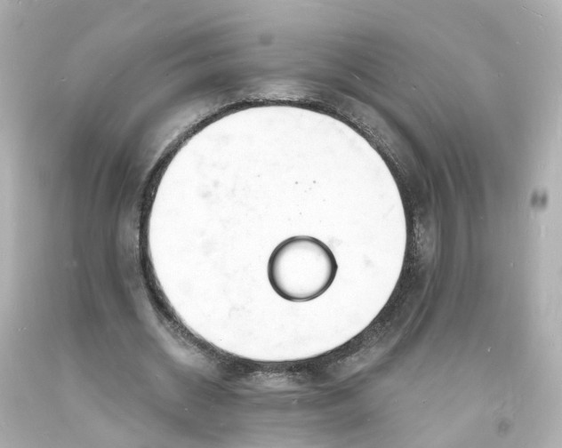 X0000093600534200710291146