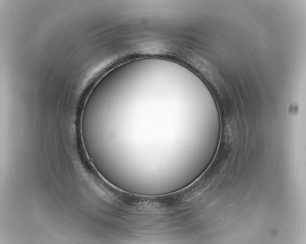 X0000093600535200710291146